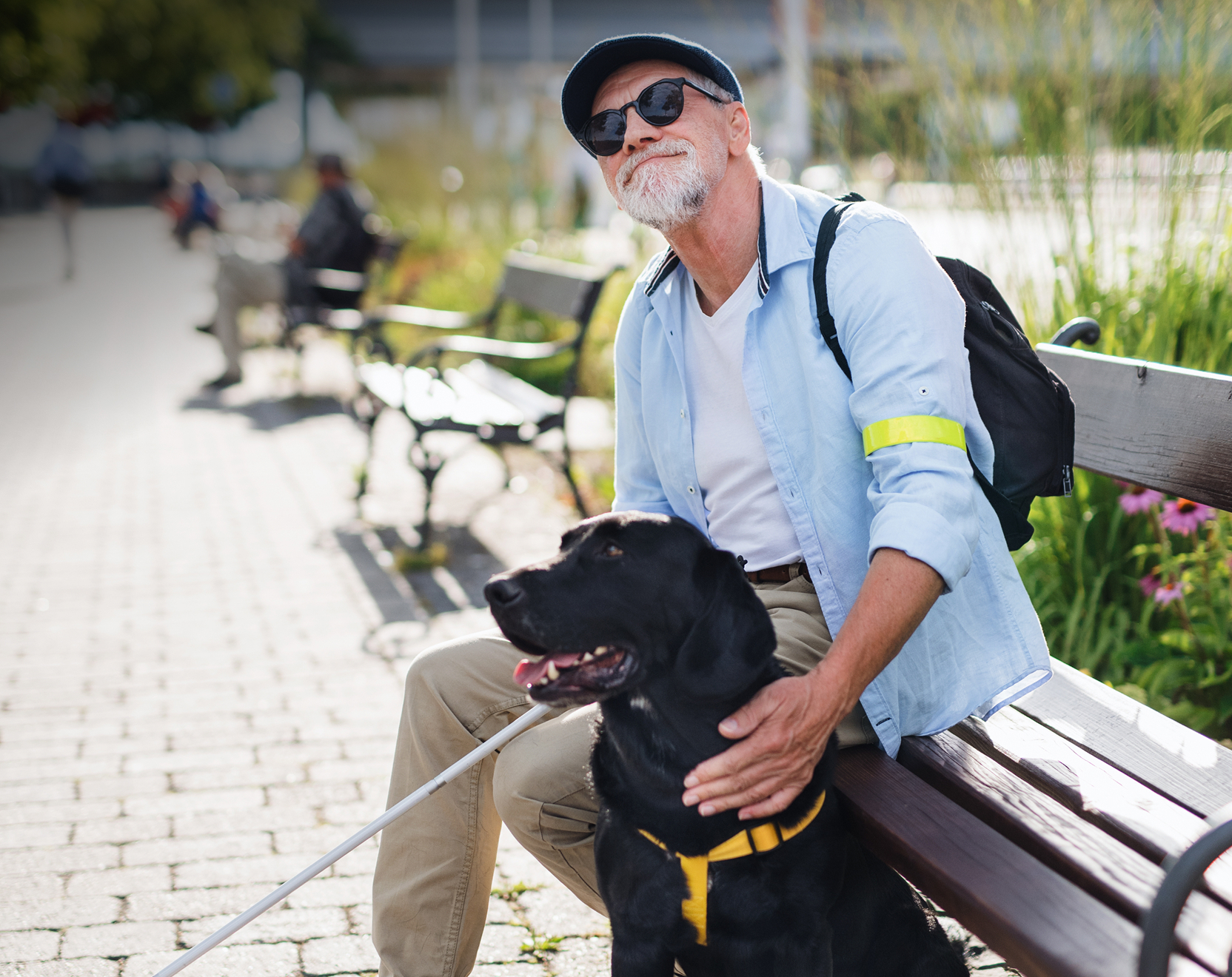 Page header about us